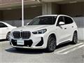 2024 BMW X1