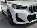 2024 BMW X1