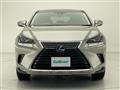 2019 Lexus NX