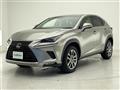 2019 Lexus NX