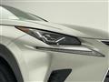 2019 Lexus NX