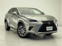 2019 Lexus NX