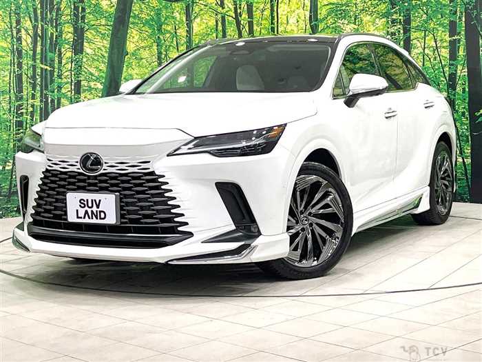 2023 Lexus RX