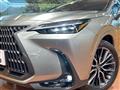 2024 Lexus NX