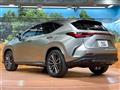 2024 Lexus NX