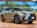 2024 Lexus NX