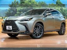 2024 Lexus NX