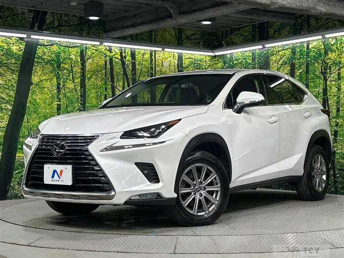 2018 Lexus NX