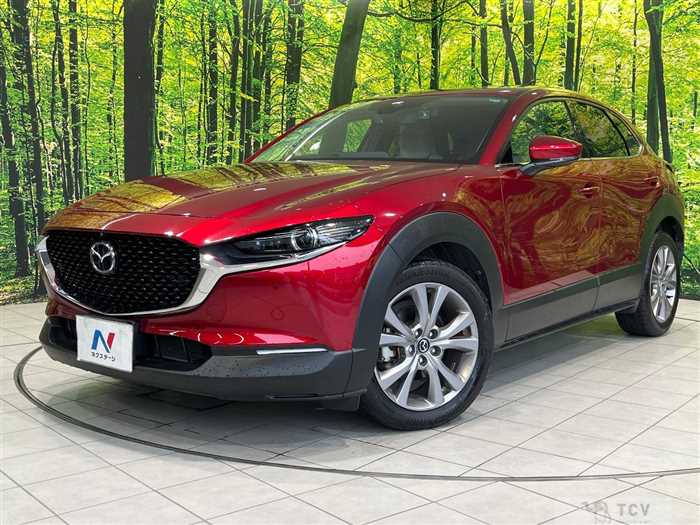 2019 Mazda Mazda Others