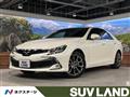 2019 Toyota Mark X