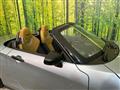 2024 Daihatsu Copen