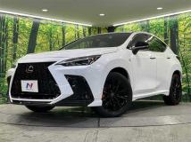 2021 Lexus NX