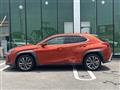 2018 Lexus UX