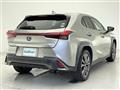 2019 Lexus UX