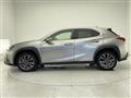 2019 Lexus UX