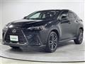 2021 Lexus NX