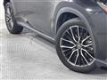 2021 Lexus NX