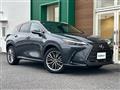 2022 Lexus NX