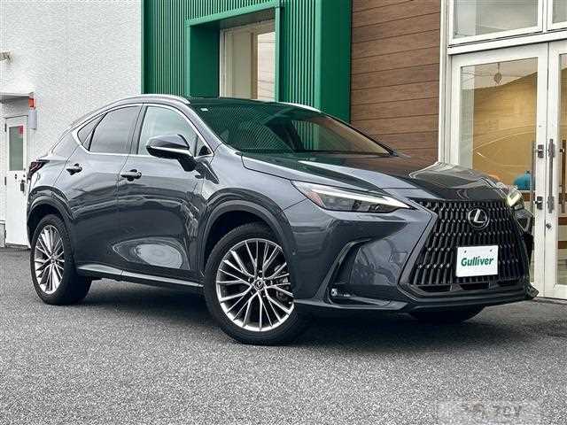 2022 Lexus NX