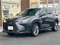 2022 Lexus NX