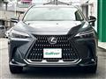 2022 Lexus NX