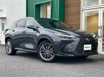 2022 Lexus NX