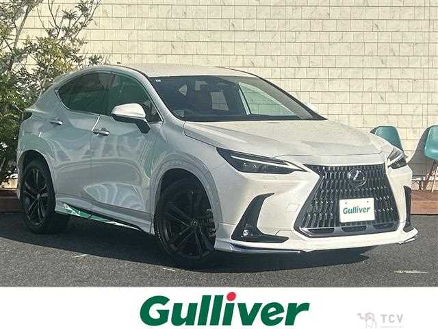 2022 Lexus NX