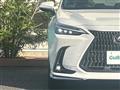 2022 Lexus NX
