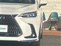 2022 Lexus NX