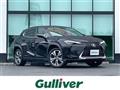 2021 Lexus UX