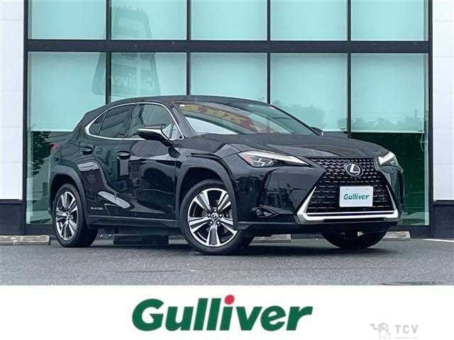 2021 Lexus UX