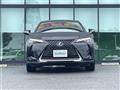 2021 Lexus UX