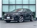 2021 Lexus UX