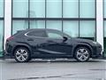 2021 Lexus UX