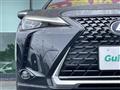 2021 Lexus UX