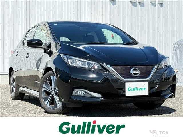 2019 Nissan Leaf