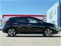 2019 Nissan Leaf