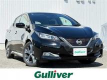 2019 Nissan Leaf