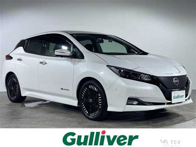 2022 Nissan Leaf