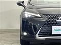 2020 Lexus UX
