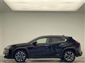 2020 Lexus UX
