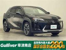 2020 Lexus UX