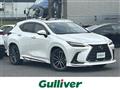2021 Lexus NX