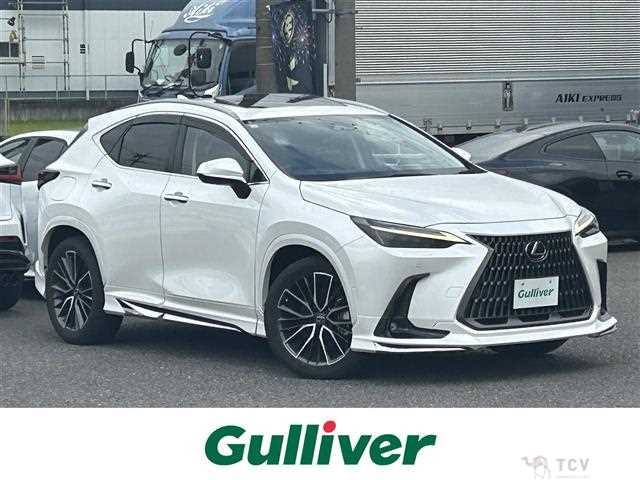 2021 Lexus NX