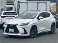 2021 Lexus NX
