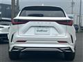 2021 Lexus NX