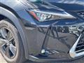 2019 Lexus UX