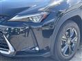 2019 Lexus UX