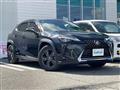 2019 Lexus UX