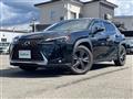 2019 Lexus UX
